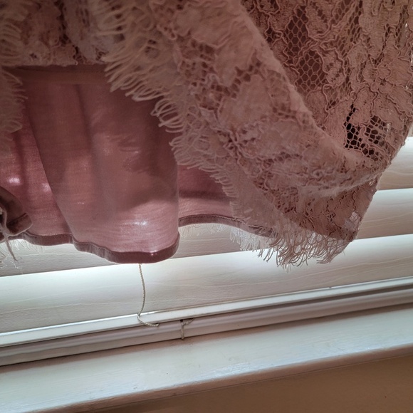 Aritzia Babaton Tobias Dress Size 2 Blush Grey Eyelash Floral Lace Mini Party - Picture 7 of 10